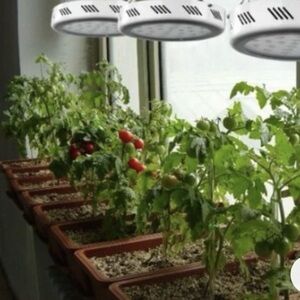 TaoTronics TT-GL21| LED Grow Light